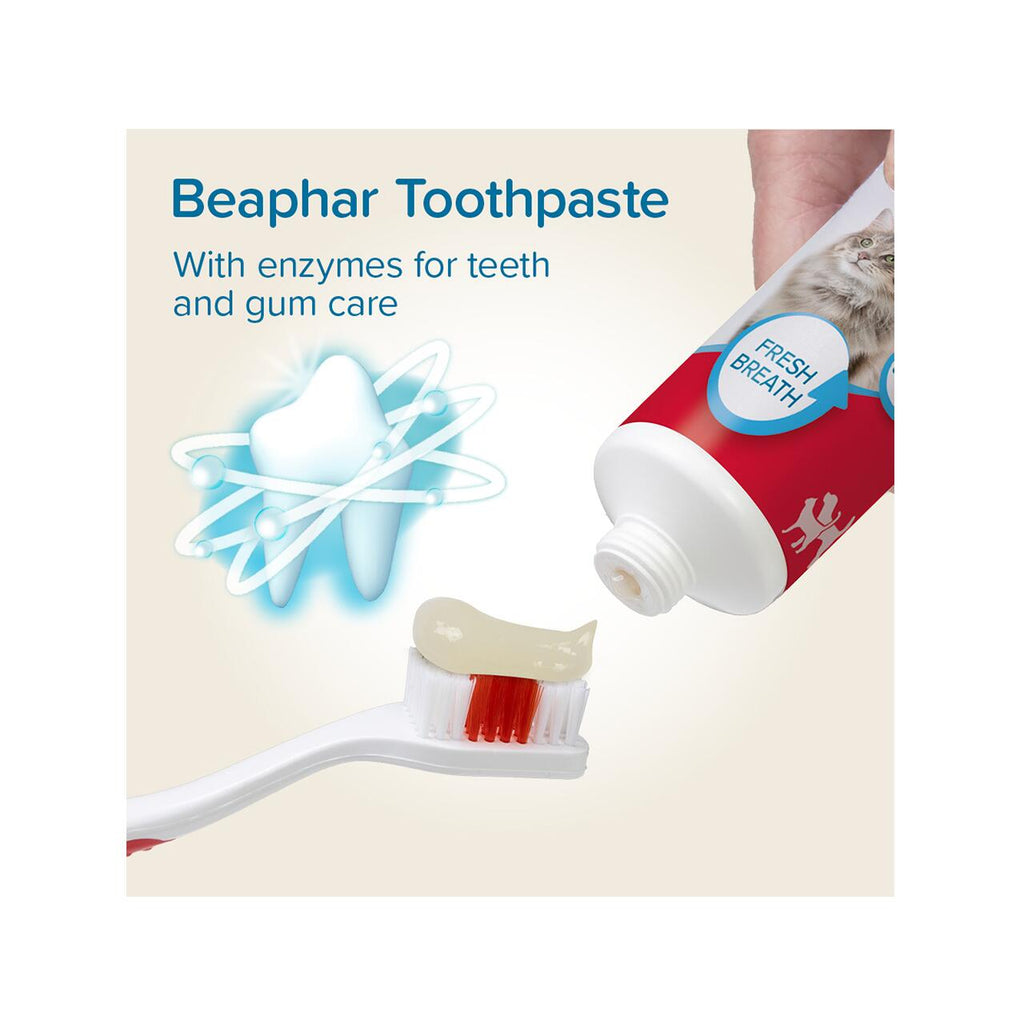 Kit Dentar Pasta+Periuta Pentru Caini Si Pisici Beaphar 100g