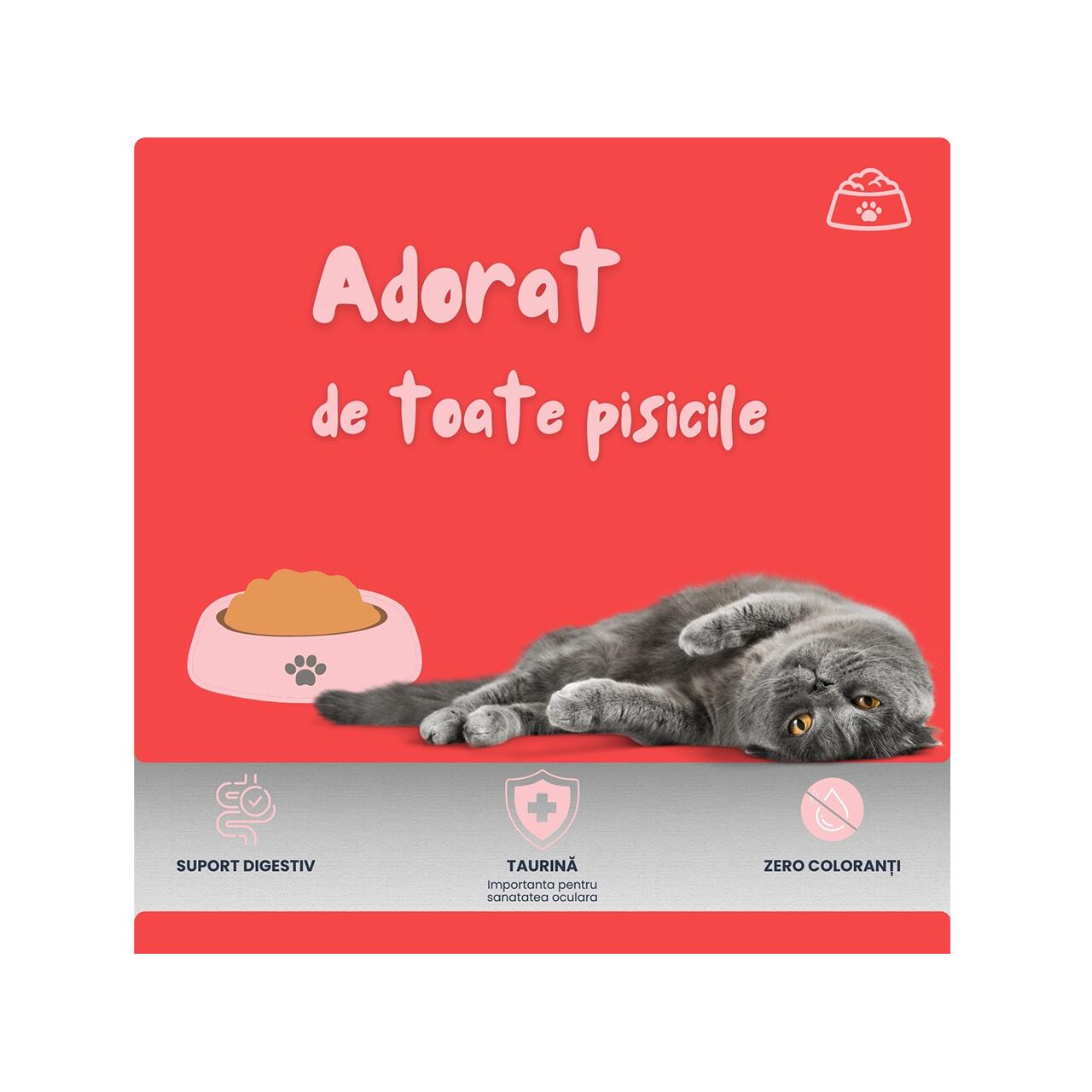 BIOCAT SNACK CREMA PENTRU PISICI CU PUI DISPLAY (12 PACHETE x 5 PLICULETE x 14g)
