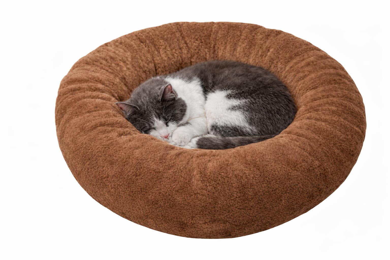 Culcuș Corto Maro Pentru Câini Si Pisici