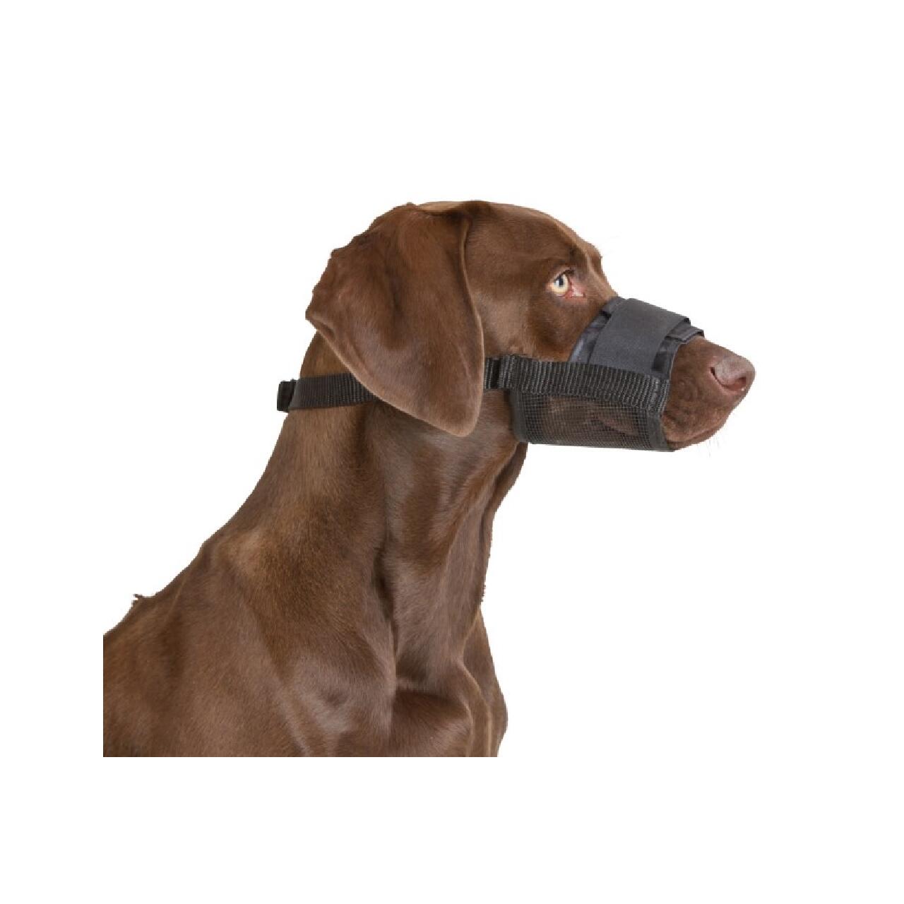 KERBL BOTNITA NYLON PENTRU CAINI AJUSTABILA S L=6.5CM FI=14-20CM